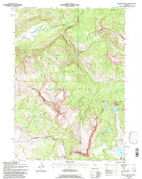 Download a high-resolution, GPS-compatible USGS topo map for Togwotee Pass, WY (1997 edition)