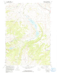 Download a high-resolution, GPS-compatible USGS topo map for Torrey Lake, WY (1993 edition)