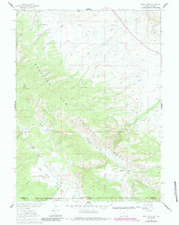 Download a high-resolution, GPS-compatible USGS topo map for Trent Creek, WY (1984 edition)