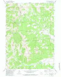 Download a high-resolution, GPS-compatible USGS topo map for Triple Peak, WY (1980 edition)