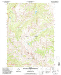 Download a high-resolution, GPS-compatible USGS topo map for Turquoise Lake, WY (1998 edition)
