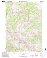 Download a high-resolution, GPS-compatible USGS topo map for Turquoise Lake, WY (1998 edition)