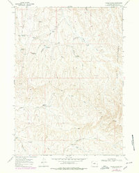 Download a high-resolution, GPS-compatible USGS topo map for Wagon Prong, WY (1978 edition)