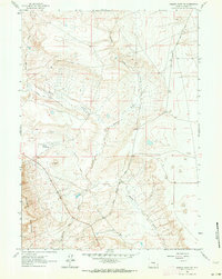 Download a high-resolution, GPS-compatible USGS topo map for Walker Draw NW, WY (1964 edition)