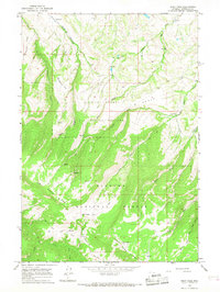 Download a high-resolution, GPS-compatible USGS topo map for West Pass, WY (1968 edition)