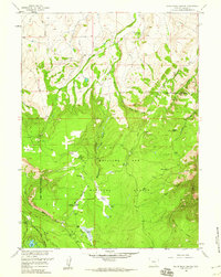 Download a high-resolution, GPS-compatible USGS topo map for White Rock Canyon, WY (1959 edition)