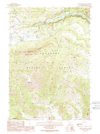 Download a high-resolution, GPS-compatible USGS topo map for Windy Mountain, WY (1989 edition)