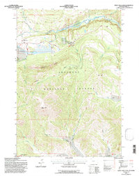 Download a high-resolution, GPS-compatible USGS topo map for Windy Mountain, WY (1997 edition)