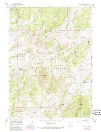 Download a high-resolution, GPS-compatible USGS topo map for Windy Peak, WY (1985 edition)
