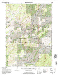 Download a high-resolution, GPS-compatible USGS topo map for Windy Peak, WY (1996 edition)