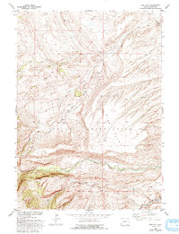 Download a high-resolution, GPS-compatible USGS topo map for Wise Flat, WY (1993 edition)