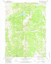 Download a high-resolution, GPS-compatible USGS topo map for Wyoming Peak, WY (1980 edition)