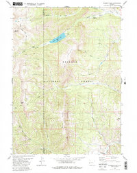 preview thumbnail of historical topo map of Sublette County, WY in 1980
