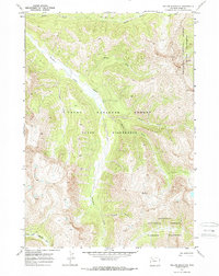 Download a high-resolution, GPS-compatible USGS topo map for Yellow Mountain, WY (1973 edition)