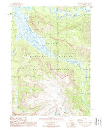 Download a high-resolution, GPS-compatible USGS topo map for Yellowstone Point, WY (1989 edition)