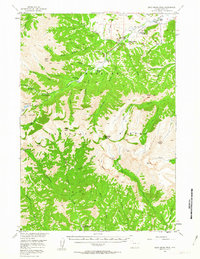 Download a high-resolution, GPS-compatible USGS topo map for Dead Indian Peak, WY (1963 edition)
