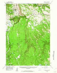 Download a high-resolution, GPS-compatible USGS topo map for Mammoth, WY (1962 edition)