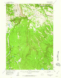 Download a high-resolution, GPS-compatible USGS topo map for Mammoth, WY (1960 edition)