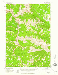 preview thumbnail of historical topo map of Park County, WY in 1956