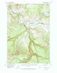 Download a high-resolution, GPS-compatible USGS topo map for Tower Junction, WY (1984 edition)