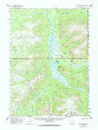Download a high-resolution, GPS-compatible USGS topo map for Two Ocean Pass, WY (1985 edition)