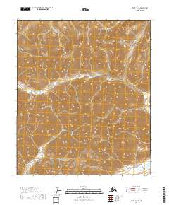 USGS Topographic Map – Arctic D-1 NW