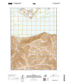 USGS Topographic Map – Baird Inlet D-7 SW