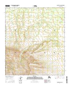2016 Map of Big Delta A-6 SE, 2016 Print