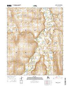 USGS Topographic Map – Candle C-4 NE