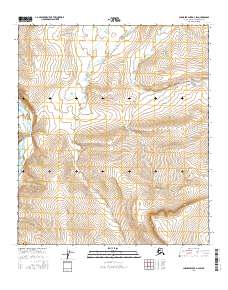 2016 Map of Chandler Lake D-3 SW, 2016 Print