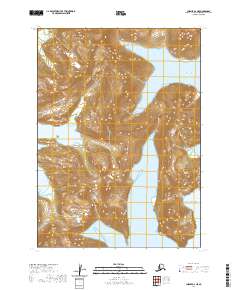 USGS Topographic Map – Chignik A-2 NE