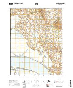 USGS Topographic Map – Dillingham A-6 SW