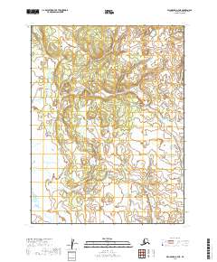 2019 Map of Dillingham A-7 NE, 2019 Print