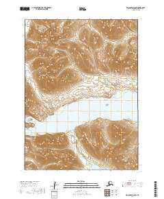 USGS Topographic Map – Dillingham D-8 SW