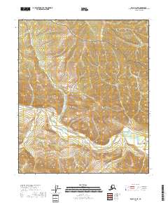 USGS Topographic Map – Eagle D-2 NE