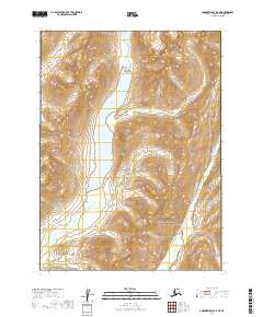USGS Topographic Map – Goodnews Bay D-2 NE