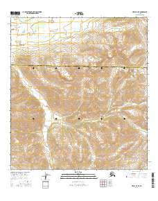 USGS Topographic Map – Healy B-4 SE