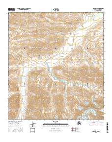 USGS Topographic Map – Healy D-1 SW
