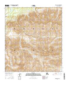 USGS Topographic Map – Healy D-2 NE