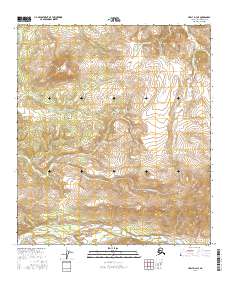 USGS Topographic Map – Healy D-4 NE