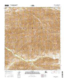 USGS Topographic Map – Healy D-4 SE