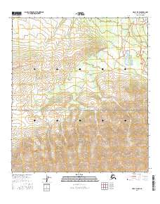 USGS Topographic Map – Healy D-5 SE