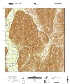 USGS Topographic Map – Iditarod A-1 NE