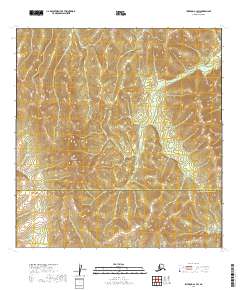 USGS Topographic Map – Iditarod A-1 SW