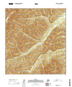 USGS Topographic Map – Iditarod D-1 SE