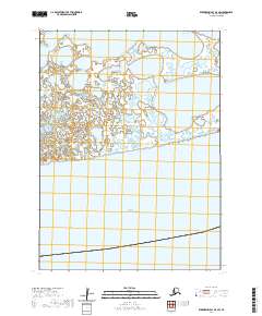 2020 Map of Kuskokwim Bay D-4 SW, 2020 Print
