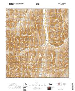 USGS Topographic Map – Kwiguk D-2 NE