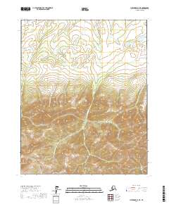 USGS Topographic Map – Livengood D-1 NE