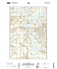 2020 Map of Marshall D-6 NE, 2020 Print
