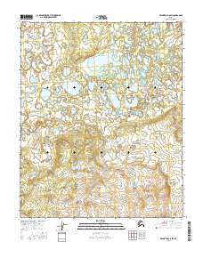 2016 Map of Melozitna C-6 SW, 2016 Print